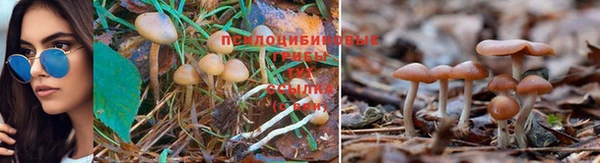 гашиш Горняк
