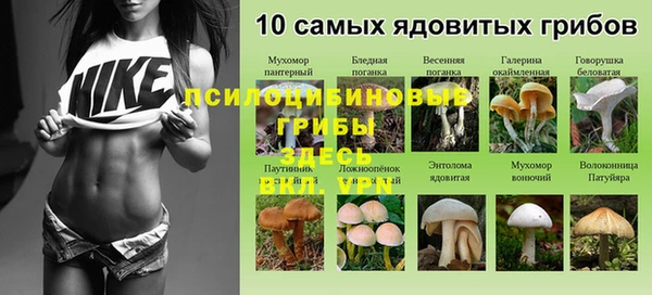 первитин Горно-Алтайск