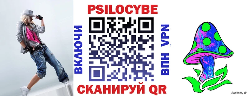Купить закладки  Чекалин  Галлюциногенные грибы GOLDEN TEACHER 